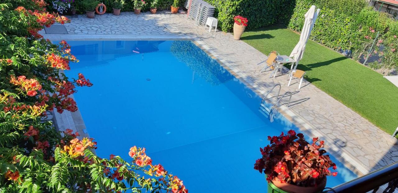 Kalypso 3* Gouvia